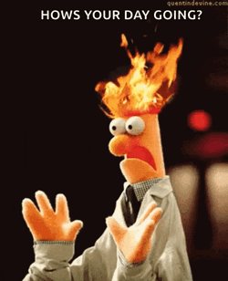 Badday Toomuch GIF