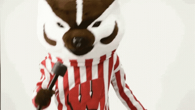 Badger Mascot Holding Microphone In Red And White Striped Shirt GIF