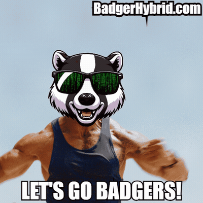 Badger Wearing Sunglasses Let's Go Badgers GIF