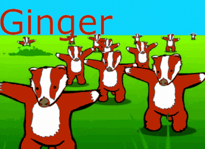 Badgers Dancing With Ginger In Red GIF