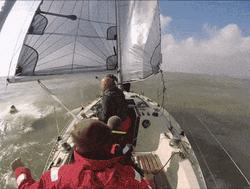 Badly Gonna Need A Bigger Boat GIF