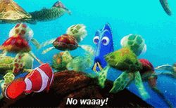 Baffled Dory GIF