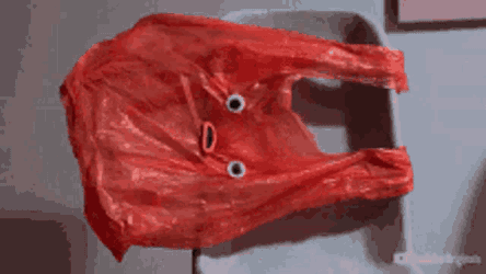 Bag Bags GIF