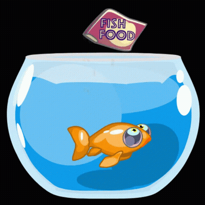 Bag Of Fish Food Poured Into Bowl Of Fish GIF