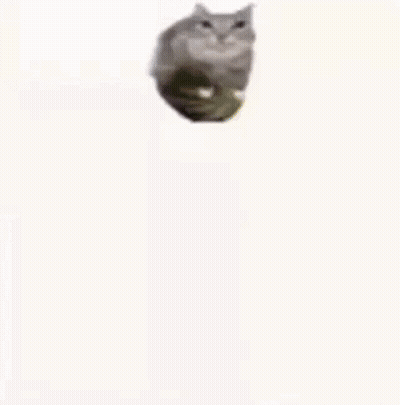 Bag Of Food Saying Chicken GIF