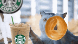 Bagel Paired With Starbucks Coffee GIF