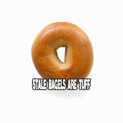 Bagel With Whipped Cream Saying Moar Cheeze GIF