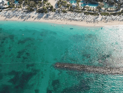 Bahamas Aerial Shot GIF