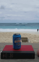 Bahamas Beach View GIF
