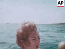 Bahamas Scuba Diving GIF