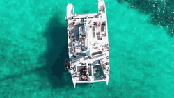 Bahamas Yacht Party GIF