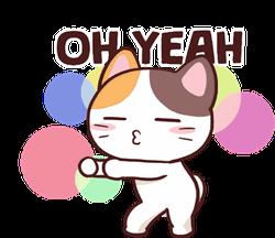 Bailando Dancing Cat Oh Yeah GIF