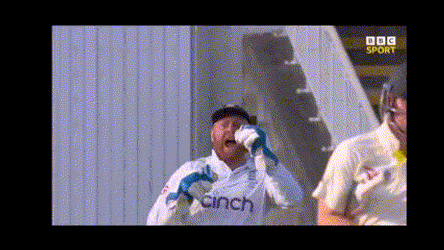 Bairstow Fistpump Cricket Ashes Dance GIF