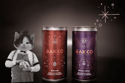 Bakko Bakkocraft GIF