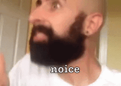 Bald Beard Guy Thumbs Up Noice GIF