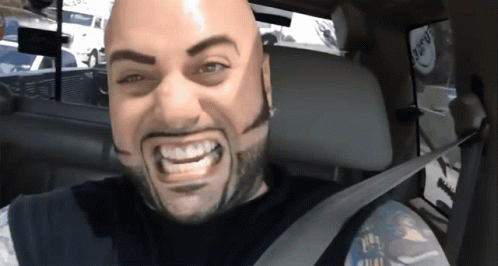 Bald Bearded Man Smiling In Back Seat Of Car GIF