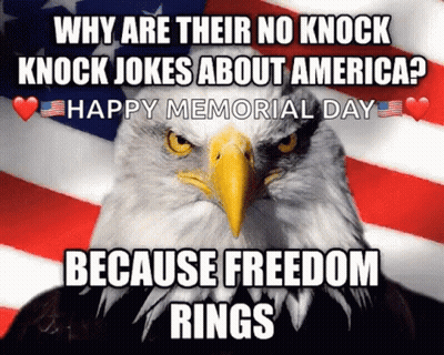 Bald Eagle American Flag Why No Knock Knock Jokes GIF