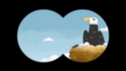 Bald Eagle Binocular GIF