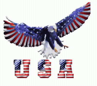 Bald Eagle Flying Above USA GIF