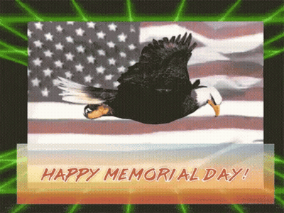 Bald Eagle Flying American Flag Happy Memorial Day GIF