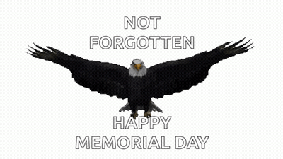 Bald Eagle Flying Not Forgotten Happy Memorial Day GIF