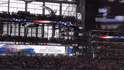 Bald Eagle Flying On Arena GIF