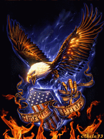 Bald Eagle Flying Over American Flag GIF