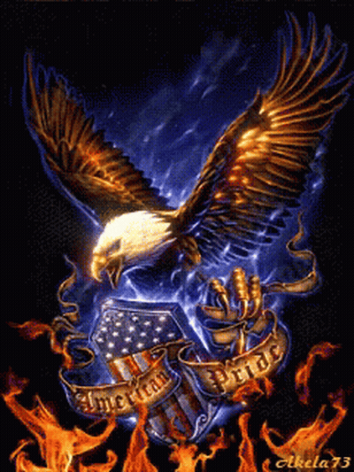 Bald Eagle Flying Over American Flag With American Pride GIF