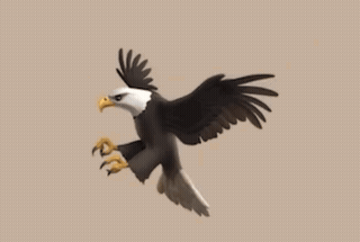 Bald Eagle Flying With Spread Wings GIF