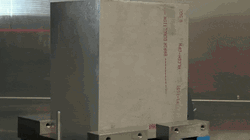 Bald Eagle Head Statue GIF