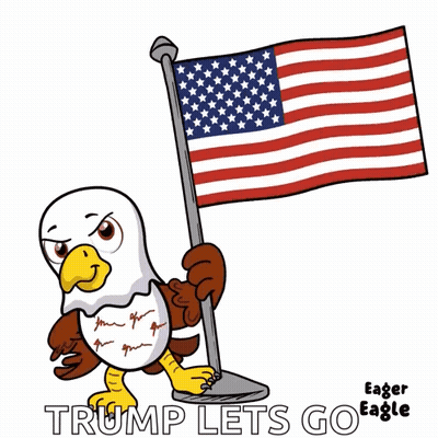 Bald Eagle Holding Pile Of Money GIF