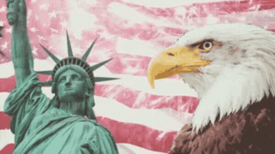 Bald Eagle Next To Statue Of Liberty GIF