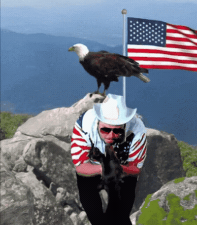 Bald Eagle Perched On Man's Head GIF