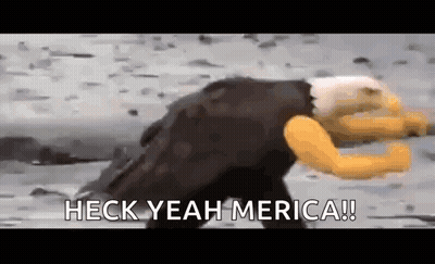 Bald Eagle Running On Beach Heck Yeah Merica GIF