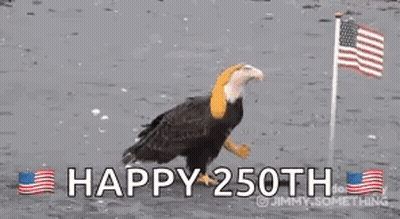 Bald Eagle Saying Happy 250Th GIF