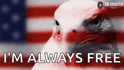 Bald Eagle Says I'm Always Free In Front Of Flag GIF