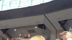 Bald Eagle Show GIF