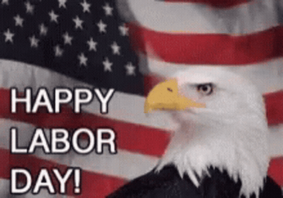 Bald Eagle Sitting In Front Of American Flag Saying Happy Labor Day GIF