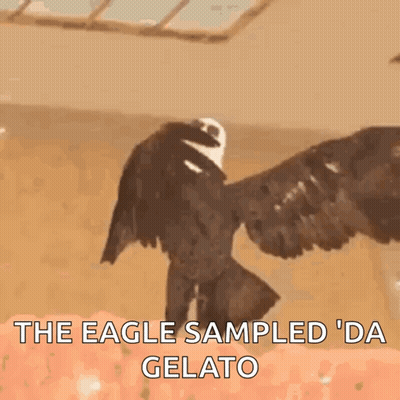 Bald Eagle Spreading Wings The Eagle Sampled Da Gelato GIF