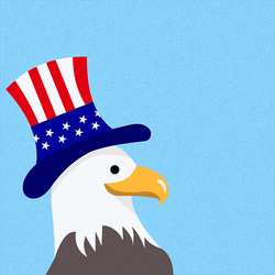 Bald Eagle Wears Hat GIF