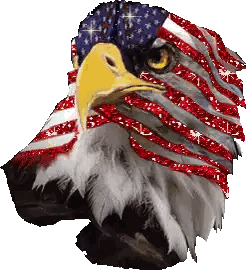 Bald Eagle With American Flag Face Sticker