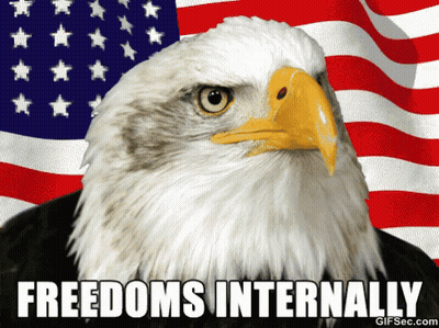 Bald Eagle With American Flag Freedoms Internally GIF