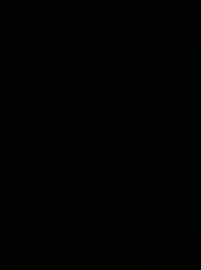 Bald Eagle With Beak Open And Assemble GIF