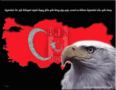 Bald Eagle With BJK Logo GIF