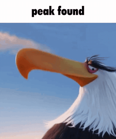 Bald Eagle With Long Beak Saying Peak GIF