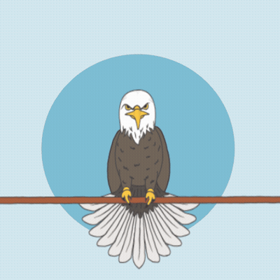 Bald Eagle With Wings Outstretched Memorial GIF