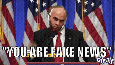 Bald Man At Podium You Are Fake News GIF