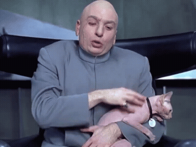 Bald Man Holding Cat With Tag GIF
