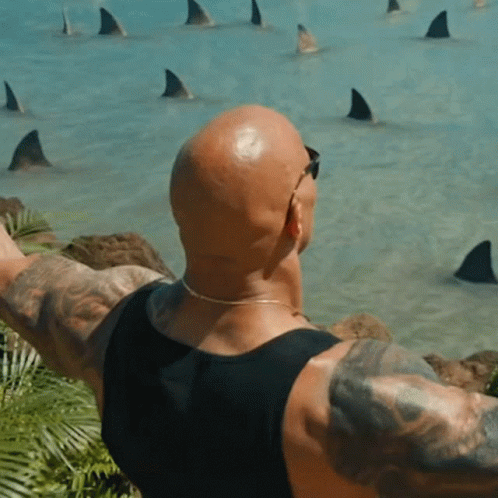 Bald Man In Front Of Sharks GIF