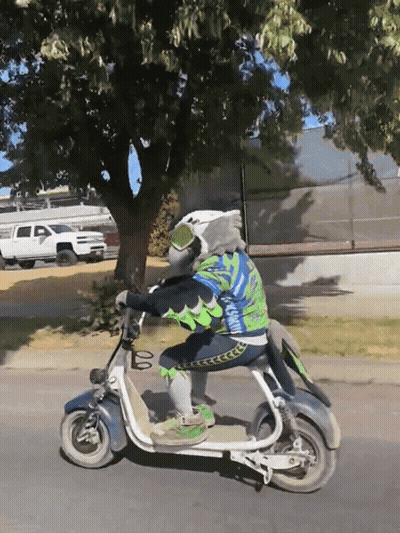 Bald Man In Suit Standing Before Stonks Chart GIF